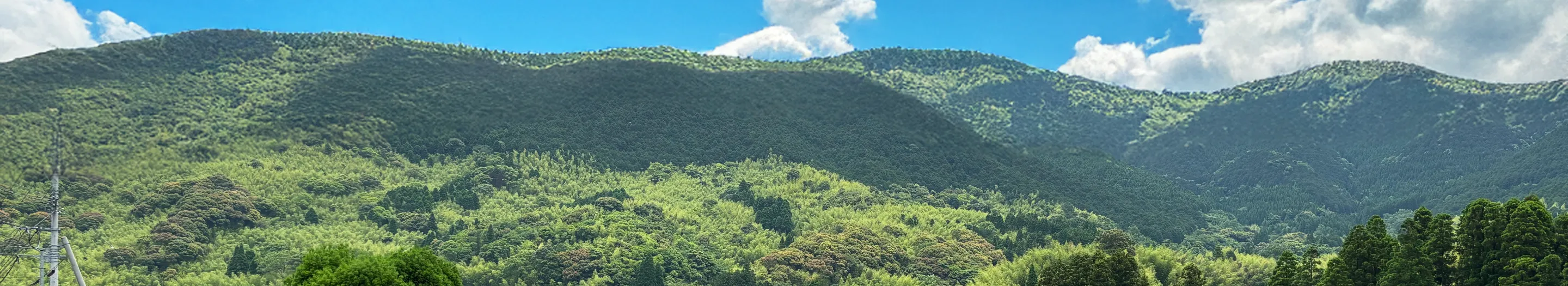 私たちについて