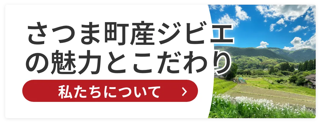 私たちについて