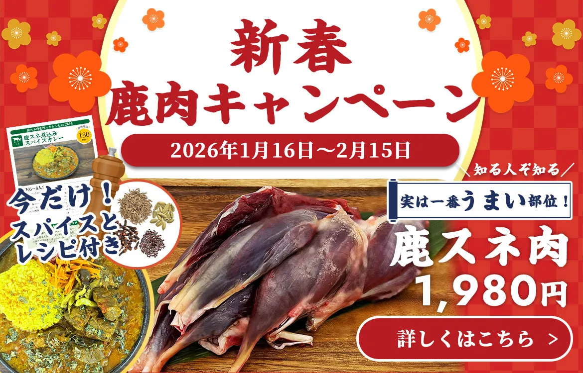 新春キャンペーン