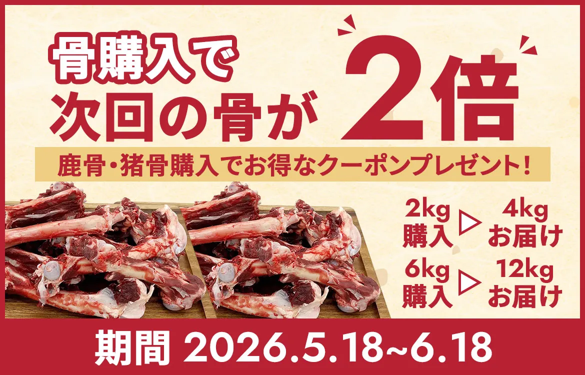 キャンペーン