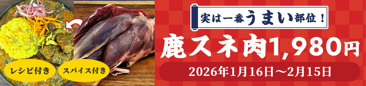 新春キャンペーン