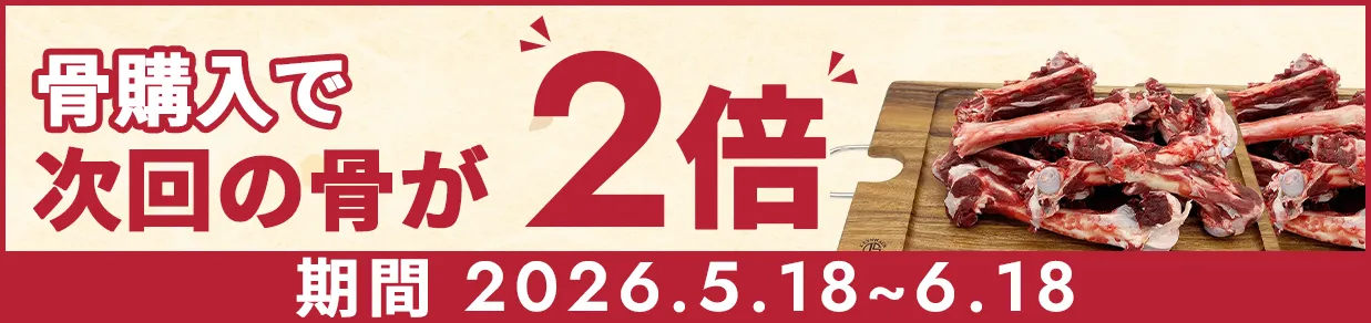 キャンペーン