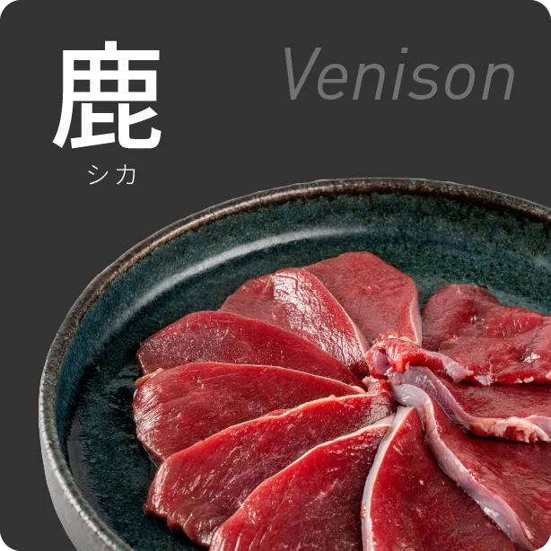 シカ肉