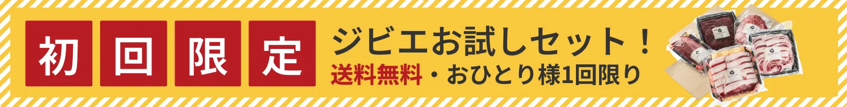 初回限定送料無料