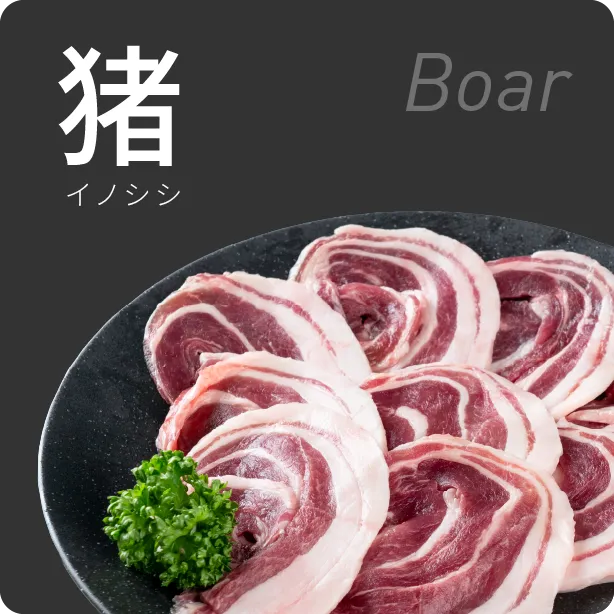 イノシシ肉